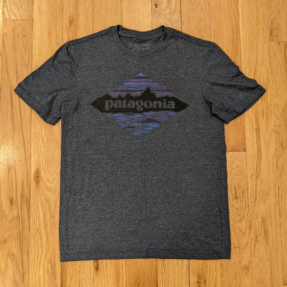 Patagonia Other - Men's slim fit Patagonia tshirt